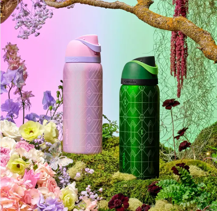Owala Wicked FreeSip Insulated Stainless Steel Water Bottle with Straw for Sports and Travel, BPA-Free Sports Water Bottle, 32 oz, Elphaba & Glinda