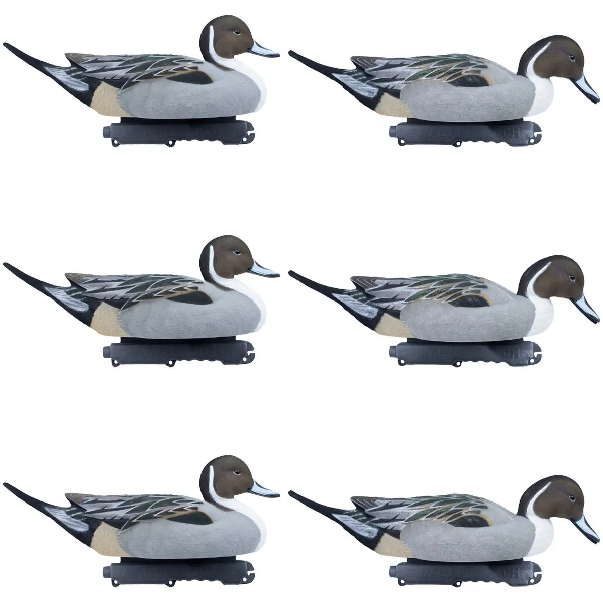 Final Approach Live Fully Flocked Pintail Bird Decoys, 6-Pack - Realistic, Lifelike Paint Scheme, HDPE Material Hunting Decoys