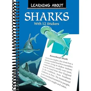 Learning About Sharks (Dover Little Activity Books: Sea Life)