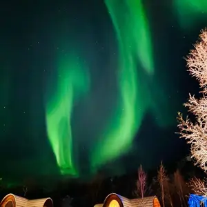 background preload poster image 