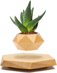 Levitating Plant Pot - Floating Plant Pot for Small Plants, Wooden Display with Magnetic Levitation, Ideal for Home & Office Decor