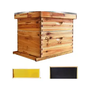 10-Frame Complete Bee Hives And Supplies Starter Kit Dipped In 100% Beeswax, Includes 1 Deep Hive Bee Box And 1 Bee Hive Super With Beehive Frames And Foundation For Beginner Beekeepers