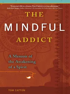 USED-The Mindful Addict: A Memoir of the Awakening of a Spirit by Catton, Tom (Paperback)