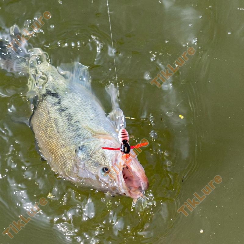 Realistic Topwater Wasp Crawling Fishing Lures Insect Design Noisy Splash Action Floating for Bass and Trout Fishing Anglers, Wasp Lure