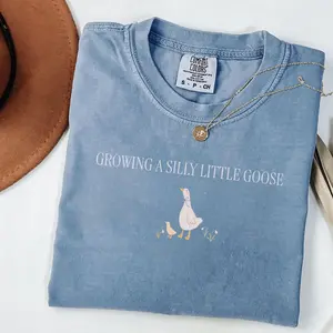 Silly Goose Pregnancy Shirt, Pregnancy Announcement to Husband, First Time Mom Gift, Comfort Colors Pregnancy Shirt, Expecting Mom Gift