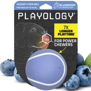 Playology Blueberry Scented Squeaky Chew Ball Dog Toy, Medium