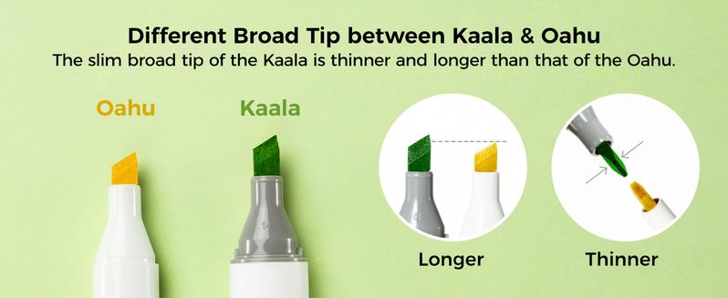 Ohuhu Alcohol Markers Double Tipped: Slim Broad & Fine - 24/60/108 Colors - Art Marker for Artists Adult Coloring Drawing Landscape Sketch - Kaala Series of Ohuhuart