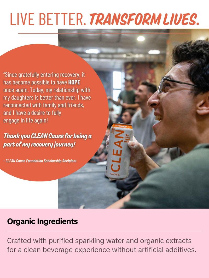 Orange Ginger Zero Calorie Organic Sparkling Yerba Mate Tea Beverage - Sugar-Free