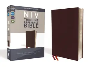NIV, Thinline Reference Bible (Deep Study at a Portable Size), Bonded Leather, Burgundy, Red Letter, Comfort Print by Zondervan [Leatherbound Book]