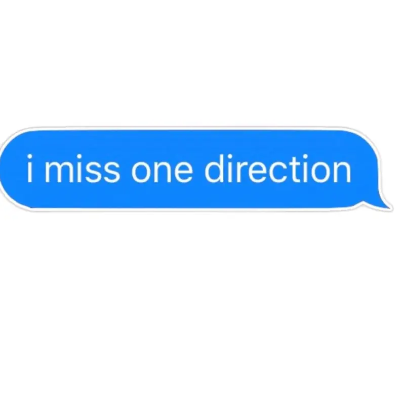 One Direction I Miss One Direction Sticker - As Described