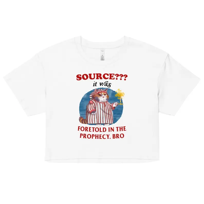 Foretold Women’s crop top