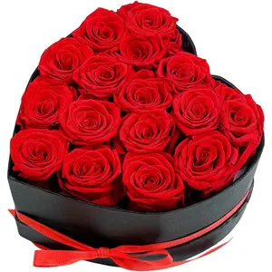 Preserved Roses Heart Shape Box Valentines Day Gifts for Her Mothers Day Forever  (Red, 16 Roses)