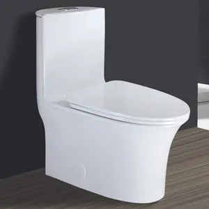 WinZo Elongated One Piece Toilet 3-in Dual Flush with Soft Closing Seat For Modern Bathroom,White (5020)