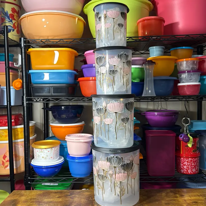Tupperware Onetouch Container Set Tulips