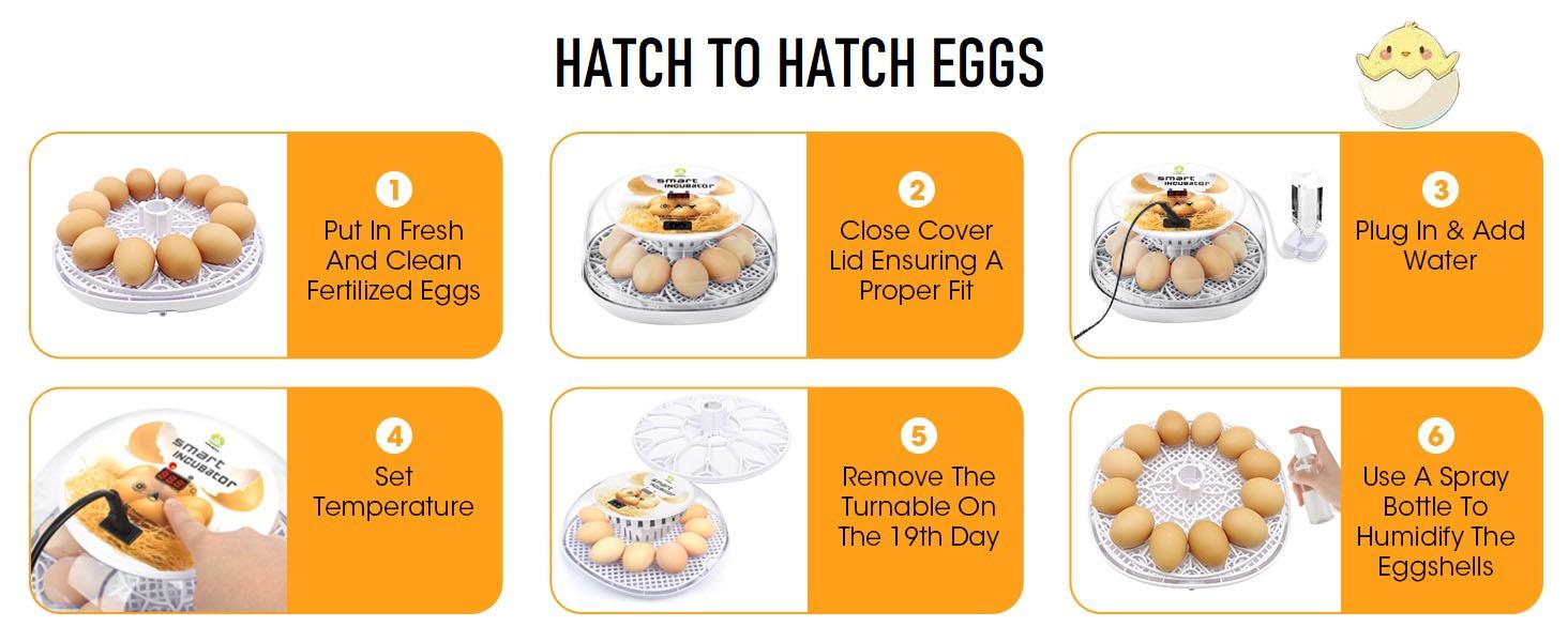 12 Egg Incubator with Automatic Turning and Temperature Control, Automatic Water Adding, LED Egg Candler, for Hatching Chickens, Duck, Quail, Goose Eggs