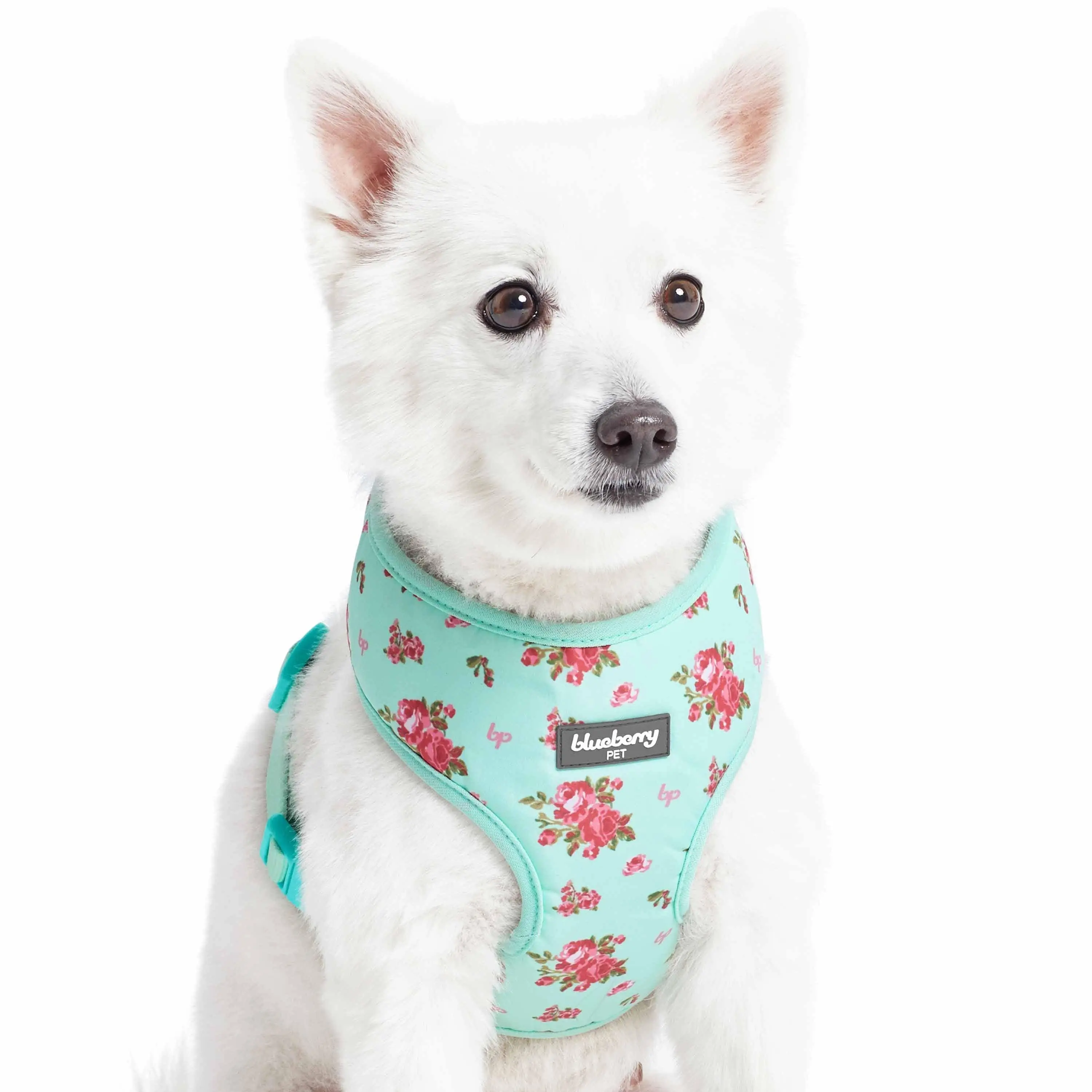 Petal Paws Floral Dog Harness Vest for Stylish Walks