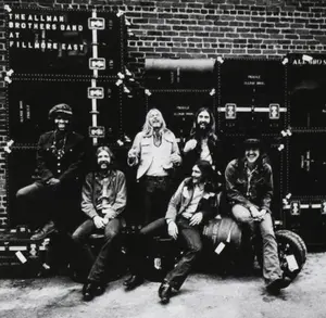 Live At Fillmore East - Allman Brothers Band - Record Album, Vinyl LP