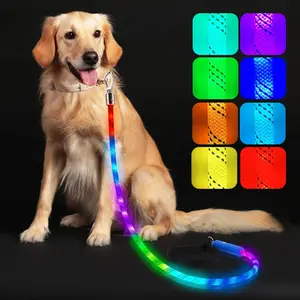 Light up Dog Leash, LED Pet Leash for Night Walking,13 Lighting Modes, Rechargeable Dog Lights, Glow in the Dark Walking Leashes with Tangle-Free Hook for Small Medium Large Dogs - 4 Ft XEUCH