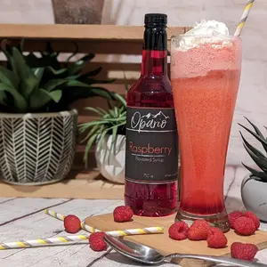 Gourmet Flavored Drink Syrup- soda / coffee/ cocktails/ lemonade