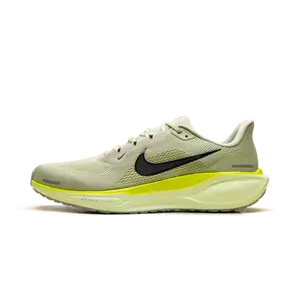 Air Zoom Pegasus 41 "Olive" FD2722-303