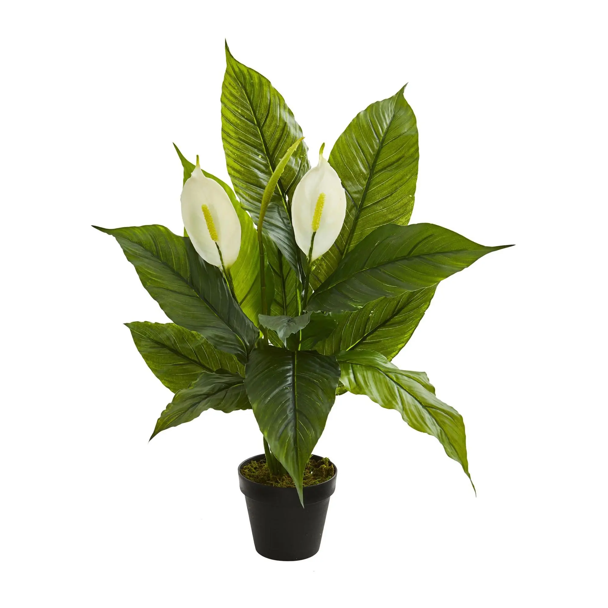 Spathiphyllum Plant (Real Touch) by Nearly Natural