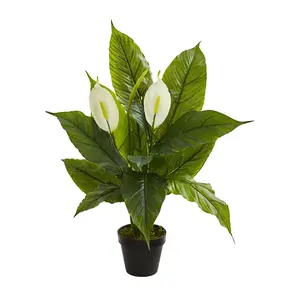 Spathiphyllum Plant (Real Touch) by Nearly Natural