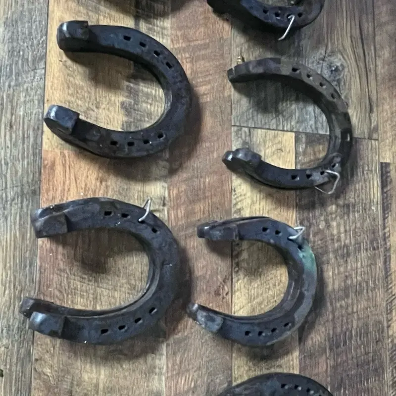weighted shoes