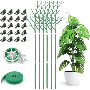 6 Pack  Support Stakes for Indoor , 39.37 Inch Tall Twig  Sticks with Orchid Clips Twist Ties and  Ties for House Potted Monstera  Support, Green