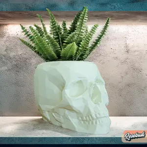 Skull Plant Pot with Drainage and Drip Tray