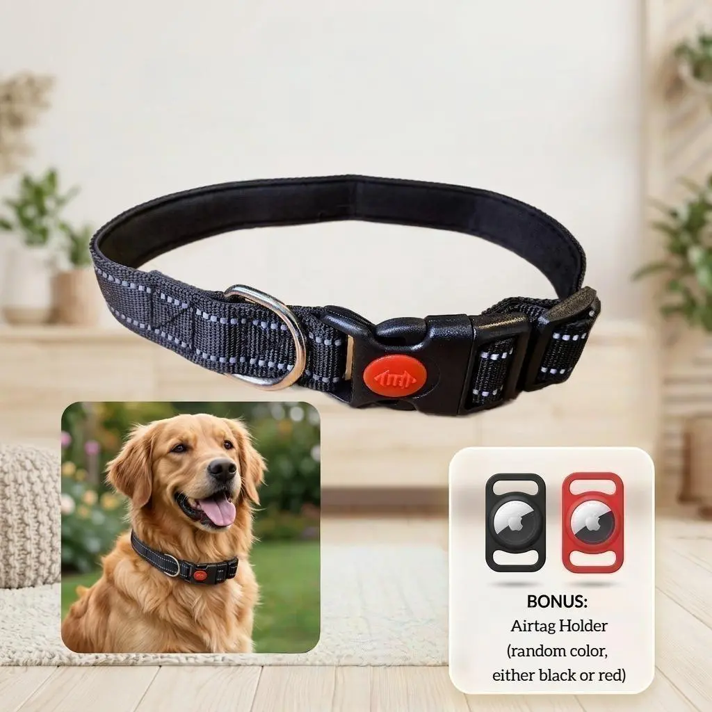 Reflective Dog Basic Collar - Adjustable Pet Collar with Buckle Safety Lock, Metal Ring, 3 Sizes & Air Tag Holder for Safe Dog Walking