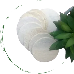 Natural Loofah Sponge Pads - 5 Pcs Set, Natural Ingredients, Versatile for Cleaning, Ideal for Various Surfaces