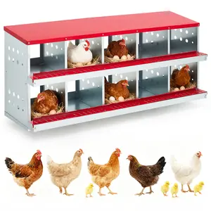Heavy Duty Galvanized Steel Chicken Nesting Box – 10 Compartments, Automatic Roll-Away Egg Collection, Ventilated, Wall Mount or Free-Standing Design for Hens, Ducks, Rabbits