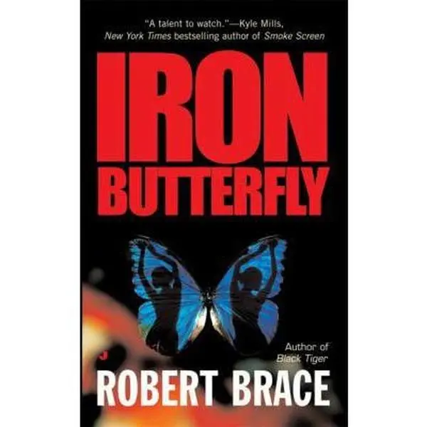 USED-Iron Butterfly by Robert Brace (Unknown)