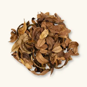 Natural Marupa Leaf Litter (32oz) Peruvian Blackwater Aquarium Botanicals & Bioactive Enclosures by Betta Botanicals