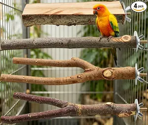 4 Pack Natural Wood Bird Perch – Fork Branch Stand & Hanging Swing Toy for Parakeets, Budgies, Cockatiels, Conures & Finches
