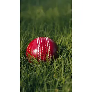 Bolt Enduro Leather Ball - Machine Stitched - 6 Pack