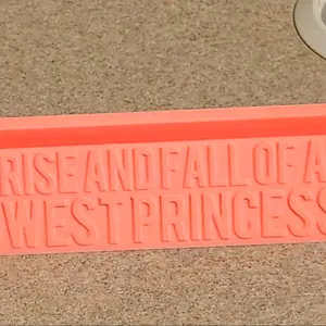 Chappell Roan 3D printed vinyl display