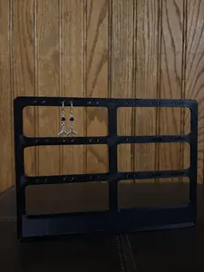 Earring Organizer