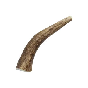 Natural Elk Antlers - Whole