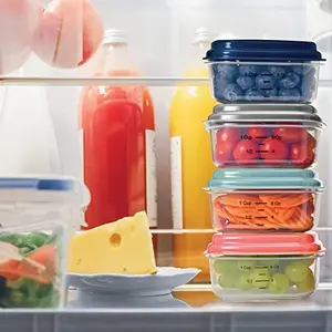 Fit & Fresh Small Plastic Containers With Lids 8 oz, Small Snack Containers With Lids, Reusable Leakproof Dressing and Condiment Containers With Two Attachable Ice Packs, 4PK, Light
