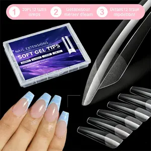 Ultimate Holiday Haul Grab: Spring-Themed Fake Nail Kit with Random Length Styles for Festive Season Glam