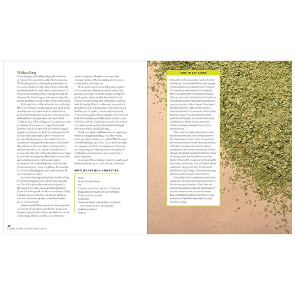 The Herbal Apothecary: 100 Medicinal Herbs and How to Use Them Paperback