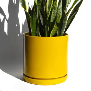 Vintage Yellow Mid Century Modern Ceramic Cylinder Planter