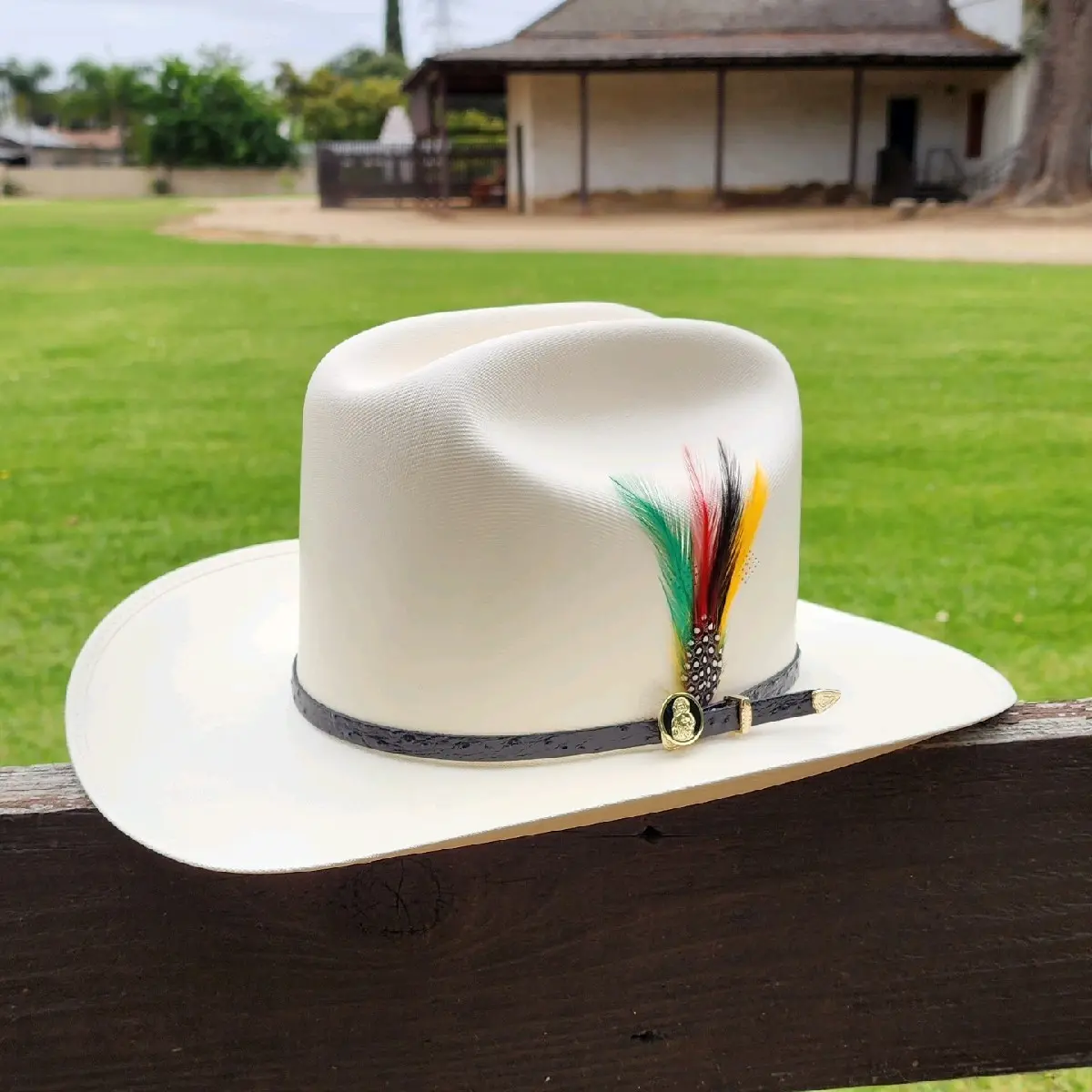 San Juditas Tadeo 100X Cowboy Hat for Men and Women
