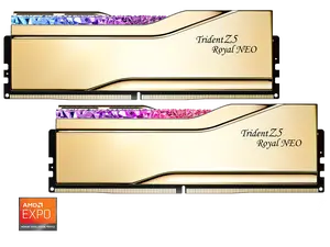 G.SKILL Trident Z5 Royal Series 32GB (2 x 16GB) 288-Pin PC RAM DDR5 6400 (PC5 51200) Desktop Memory Model F5-6400J3039G16GX2-TR5NG