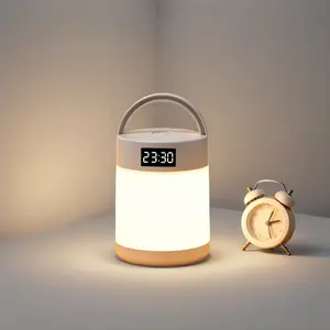Rechargeable & Plug-in Clock Light, 2-in-1 Warm & Natural Light Lamp, TYPE-C Portable Night Light for Bedroom Nursery