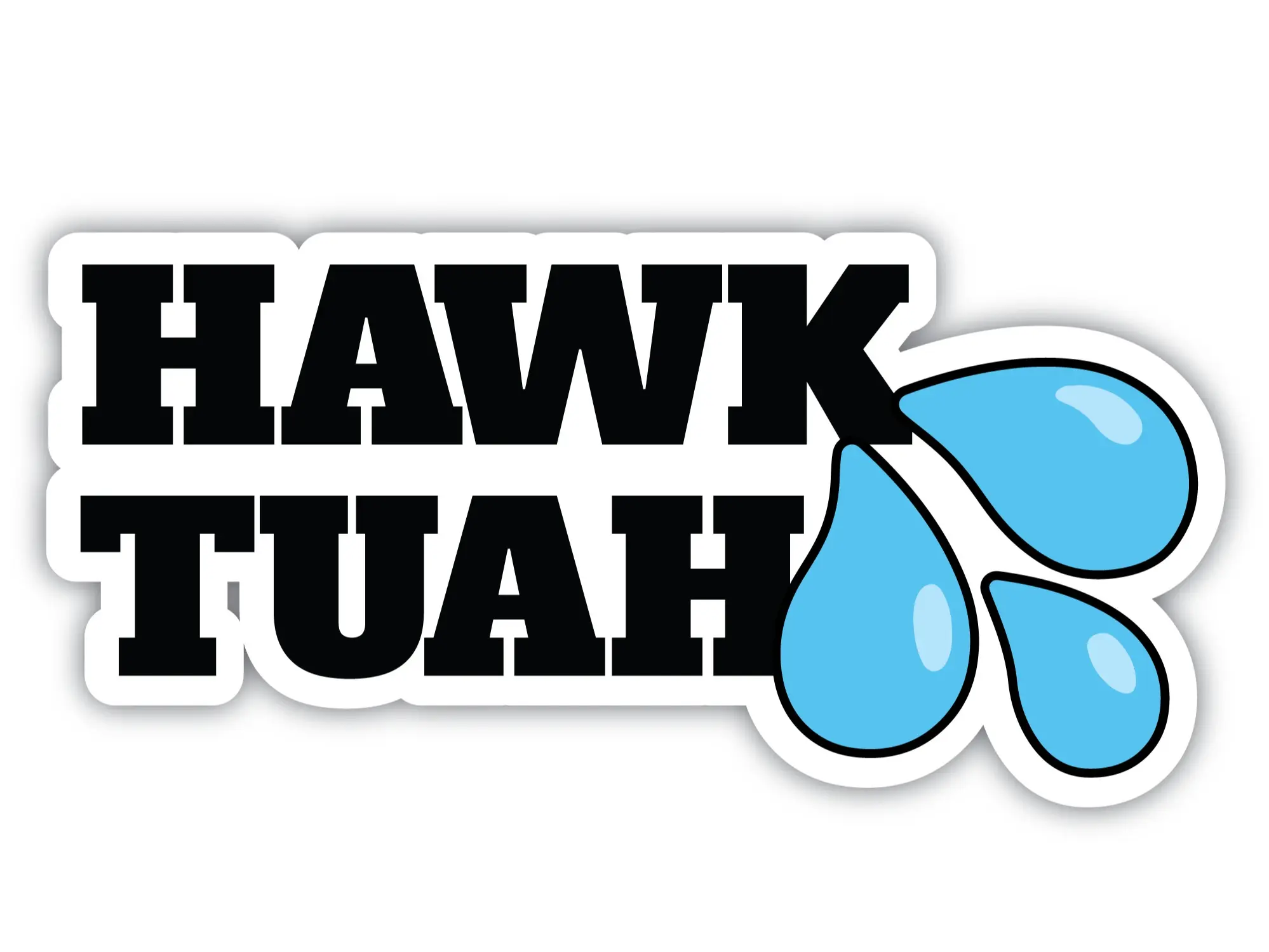 Hawk Tuah Vinyl Decal - Bumper Sticker - Laptop Sticker
