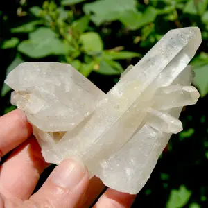 4in 235g Raw Isis Face Golden Healer Clear Quartz Crystal Cluster, Zambia zcc5