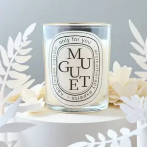 Hot Fragrance Scented Candle Romantic Gift Transparent Jar Aromatic Candles Light for Wedding Guest Decoration