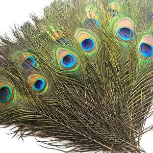 Piokio 50 pcs Peacock Feathers in Bulk 10-12 inch(25-30 cm) Bulk for DIY Craft, Craft Vase Wedding Home Party Christmas Day Decoration